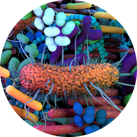 gut health with advanced testing